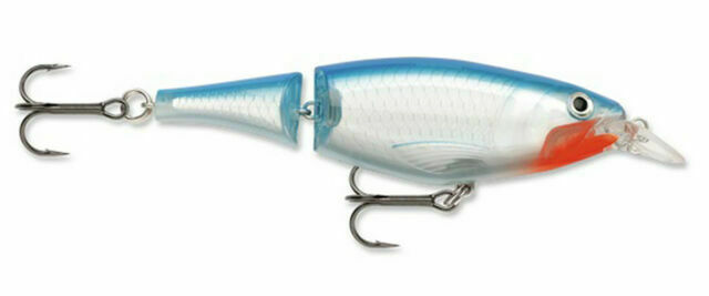 Rapala Jointed Shad Rap - Western Accessories Fishing & Outdoor