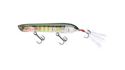 YO-ZURI 3DB Pencil Popper 110 Topwater Lure