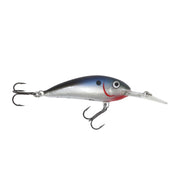 Northland Rumble Shad