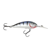 Northland Rumble Shad