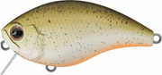 Evergreen CH-1 Waking Crankbait