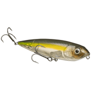 Strike King KVD Sexy Dawg Jr. Topwater