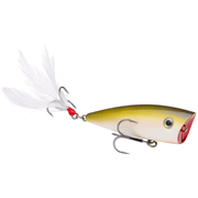 Strike King KVD Splash JR Topwater