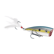 Strike King KVD Splash JR Topwater