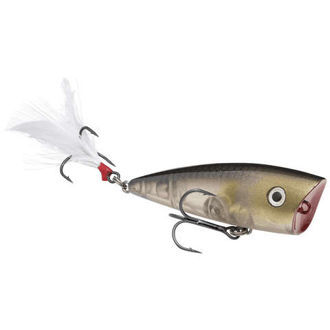 Strike King KVD Splash JR Topwater