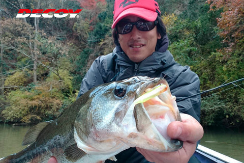 Decoy JIG53F 60 Degree Limerick-F Jig Hook