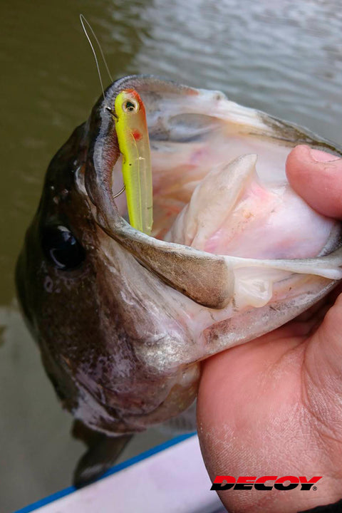 Decoy JIG53F 60 Degree Limerick-F Jig Hook