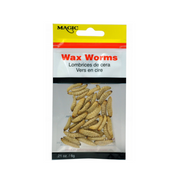 Magic Preserved Wax Worms 21 oz