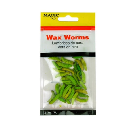 Magic Preserved Wax Worms 21 oz